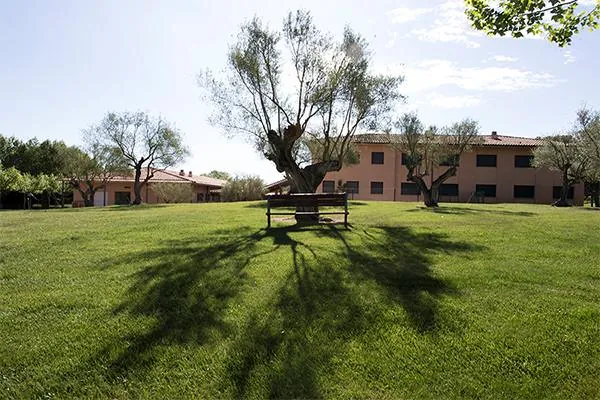 Сад с оливой перед домом Casa Santa Elena